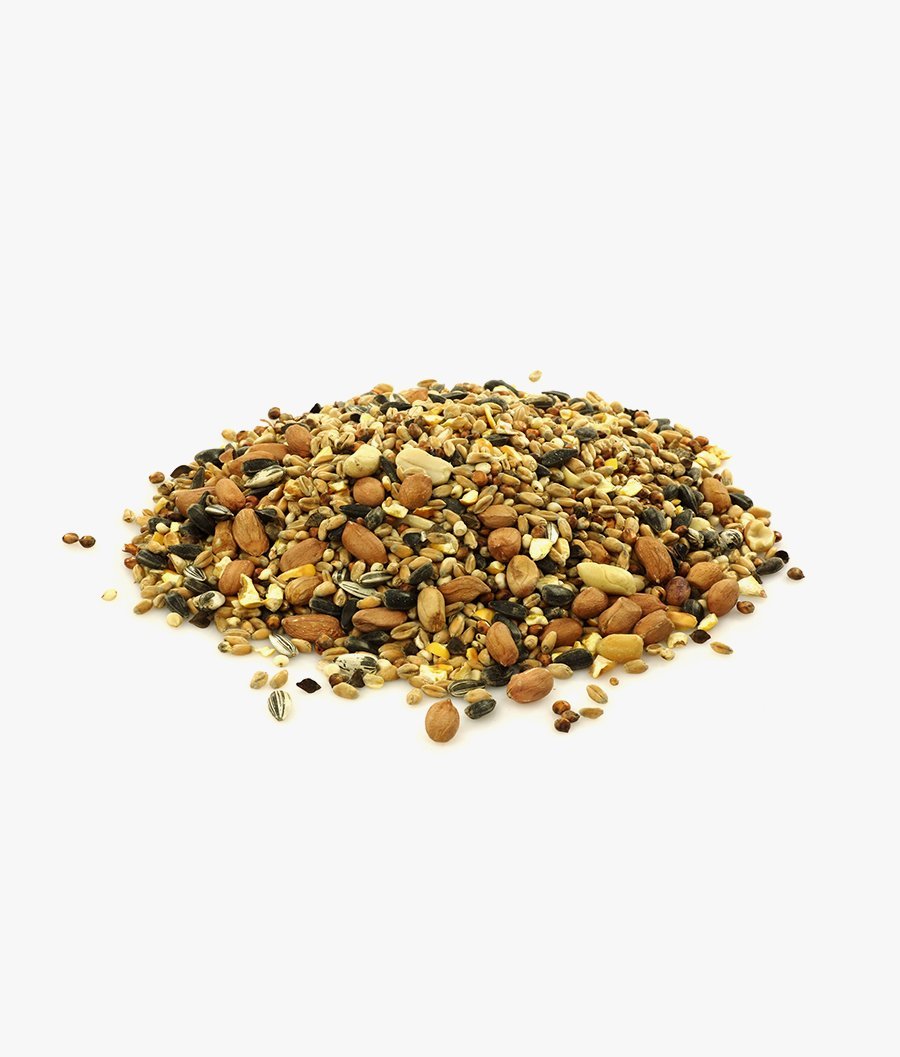 Junior Chicken Feeds